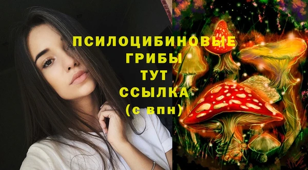 COCAINE Майский