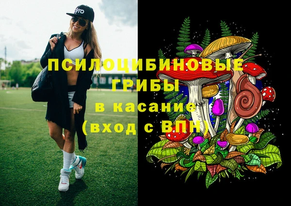 спайс Мегион