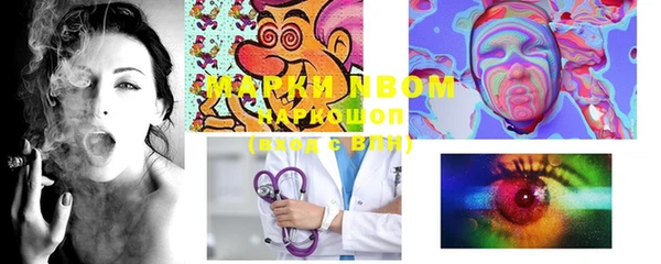 прущие грибы Апатиты